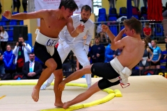 011-06-IMG_8296