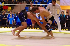 100-IMG_8729