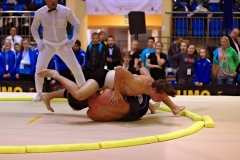 103-IMG_8733