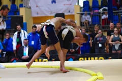 112-IMG_8317