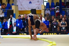 113-IMG_8318