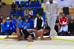 118-IMG_8330