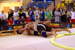 144-IMG_8811