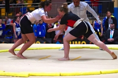 155-IMG_8393