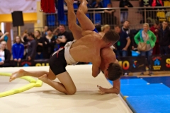 156-IMG_8831