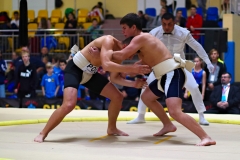 158-IMG_8397