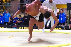 159-IMG_8399