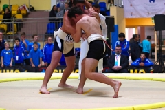 171-IMG_8419