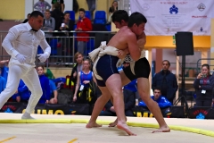 172-IMG_8422