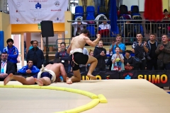 174-IMG_8425