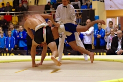 184-IMG_8881