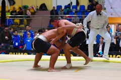 185-IMG_8447