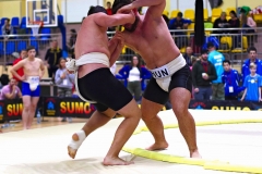 186-IMG_8450