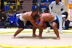 189-IMG_8458