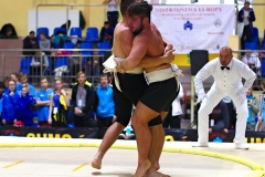 192-IMG_8463