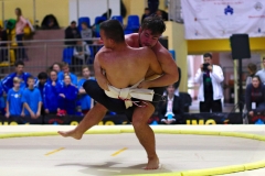 193-IMG_8464