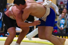 197-IMG_8470