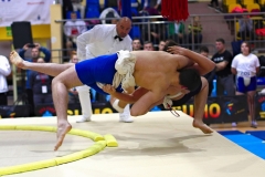 sumo