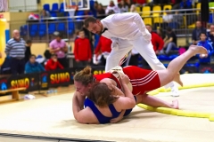 206-IMG_8491