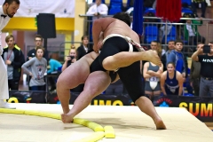 212-IMG_8499