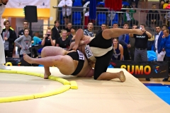 213-IMG_8500