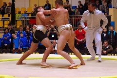 222-IMG_8956