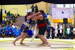 224-IMG_8534