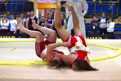 229-IMG_8543