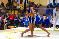 230-IMG_8546