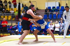 237-IMG_8554
