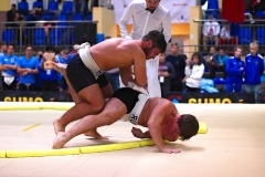 240-IMG_8560