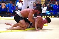 241-IMG_8561