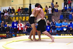 244-IMG_8564