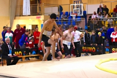 253-IMG_8582