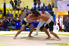 266-IMG_8617