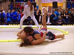 sumo championships